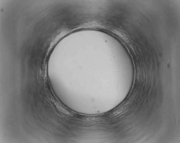 X0000060551366200511241215