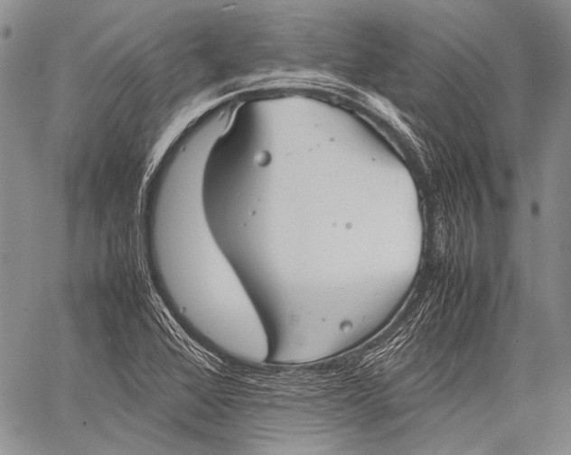 X0000060551368200511241215