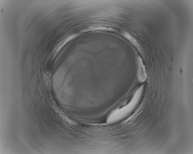 X0000060551369200511241215