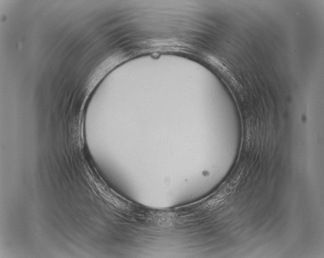 X0000060551370200511241215