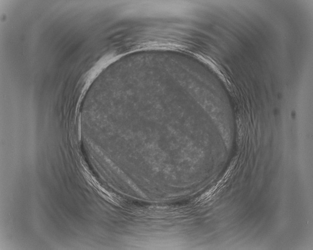 X0000060551371200511241214