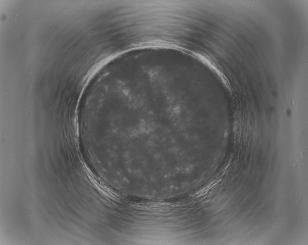 X0000060551372200511241214