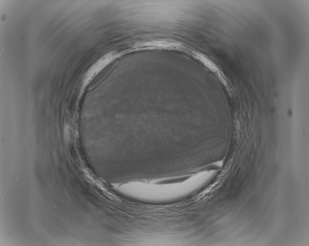 X0000060551373200511241214