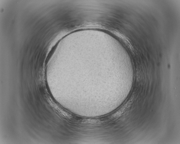 X0000060551374200511241214