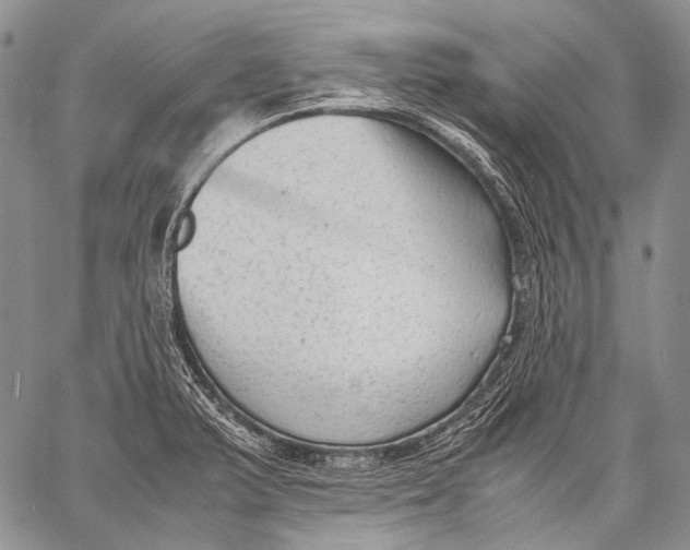 X0000060551375200511241214