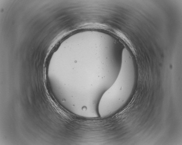 X0000060551376200511241214