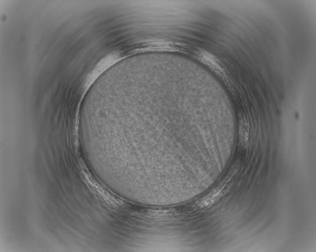 X0000060551378200511241214