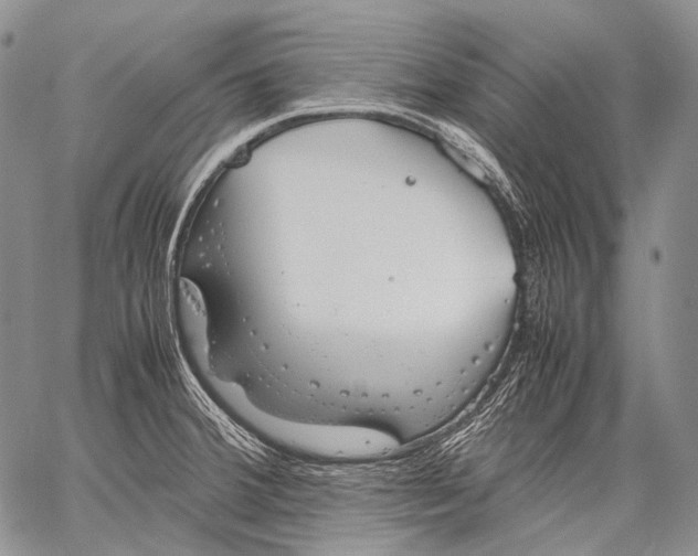 X0000060551380200511241214