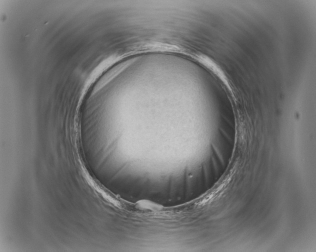 X0000060551381200511241214