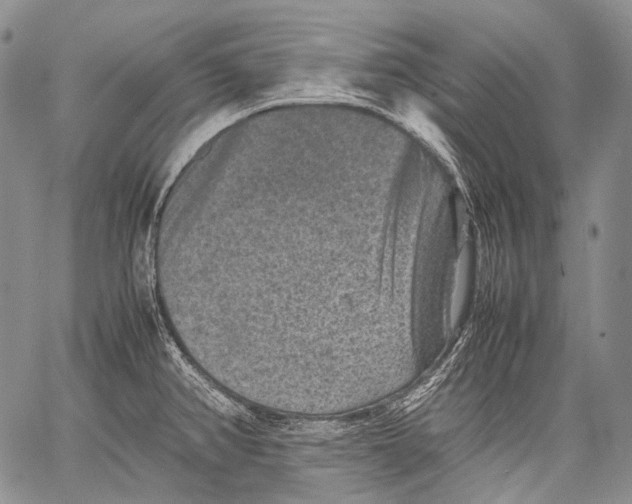 X0000060551382200511241214