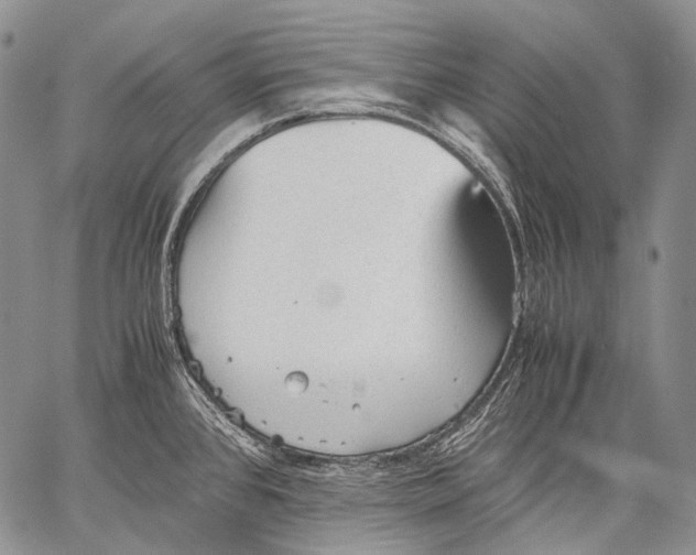 X0000060551384200511241214