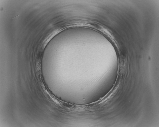 X0000060551385200511241214