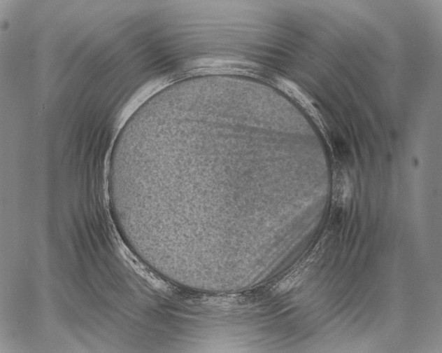 X0000060551386200511241214