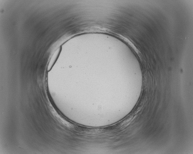 X0000060551387200511241214