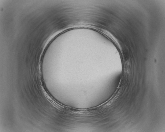 X0000060551388200511241214