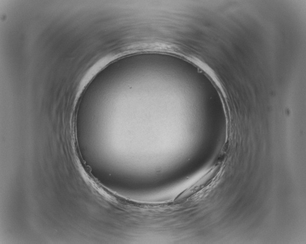 X0000060551389200511241214