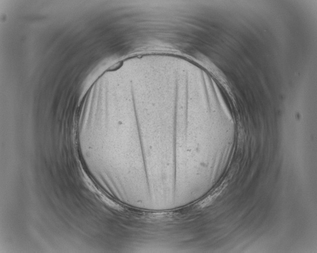 X0000060551390200511241214