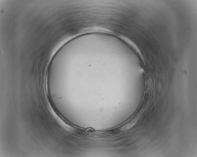 X0000060551391200511241214