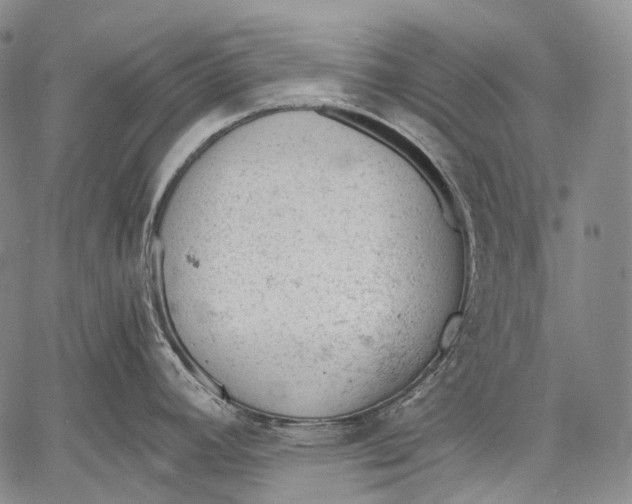 X0000060551392200511241214