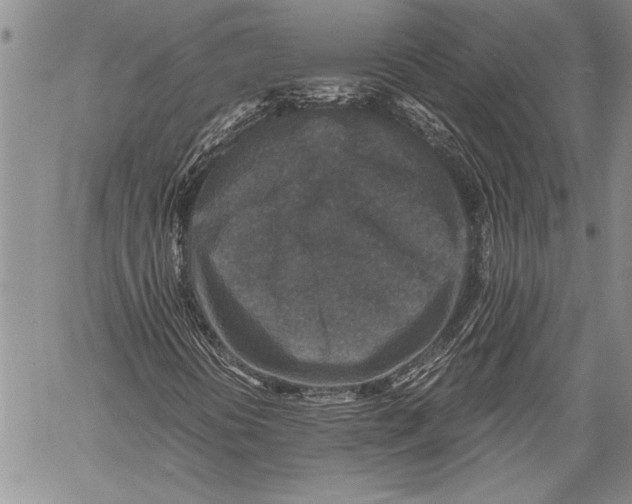 X0000060551394200511241213