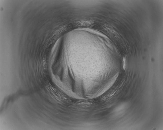 X0000060551395200511241213