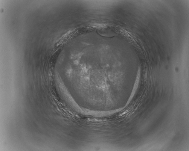 X0000060551397200511241213