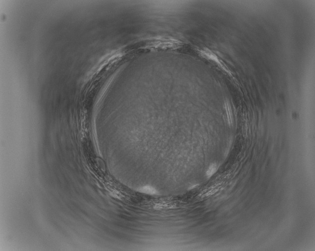 X0000060551399200511241213