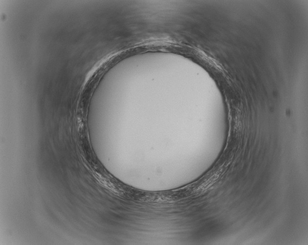 X0000060551400200511241213