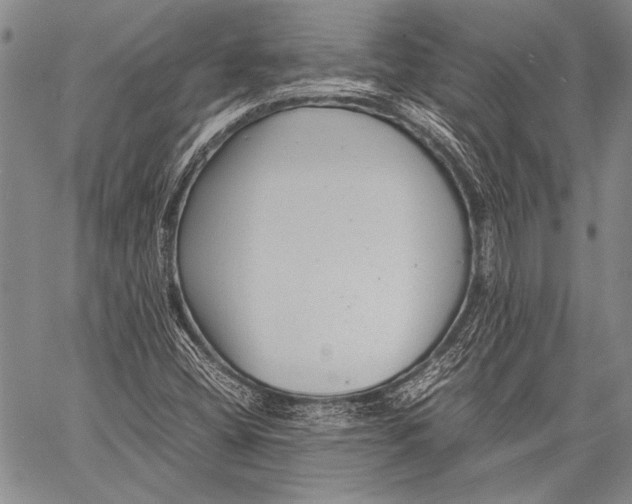 X0000060551404200511241214