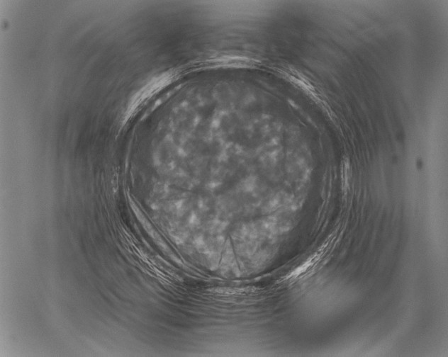 X0000060551405200511241214