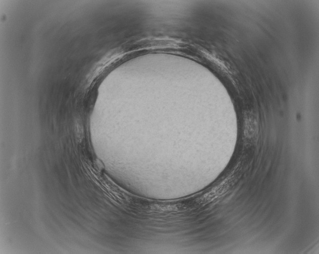 X0000060551407200511241214