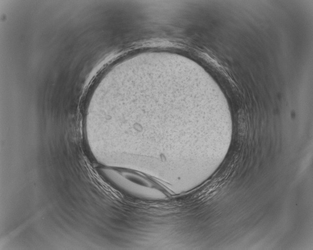 X0000060551408200511241214