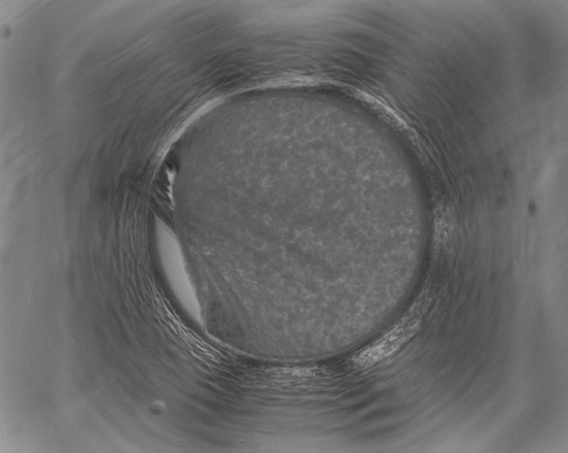 X0000060551409200511241214