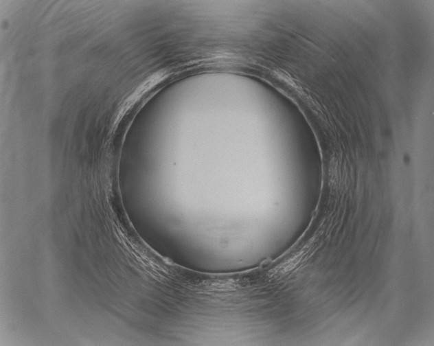 X0000060551410200511241214