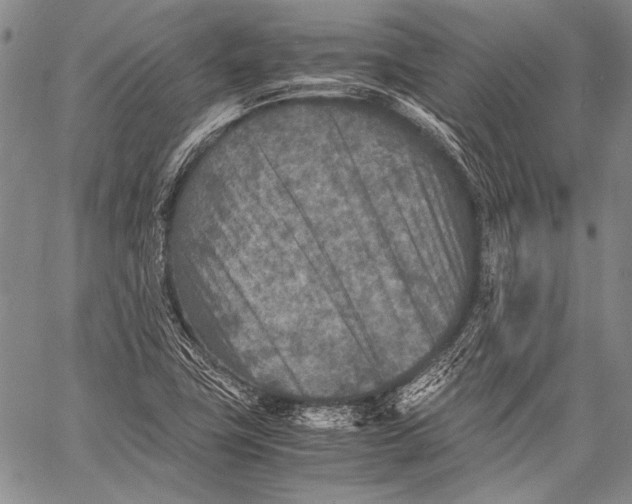 X0000060551411200511241214