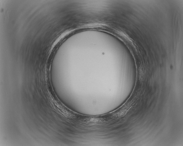 X0000060551412200511241214