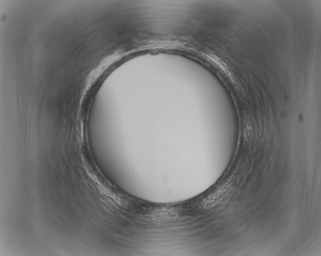 X0000060551414200511241214