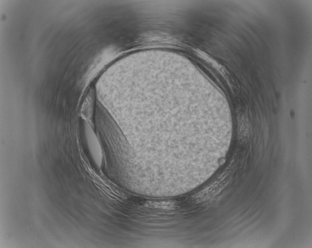 X0000060551415200511241214