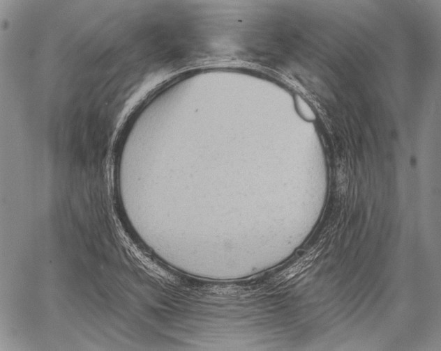 X0000060551416200511241214