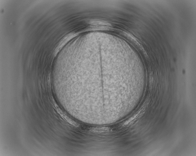 X0000060551417200511241214