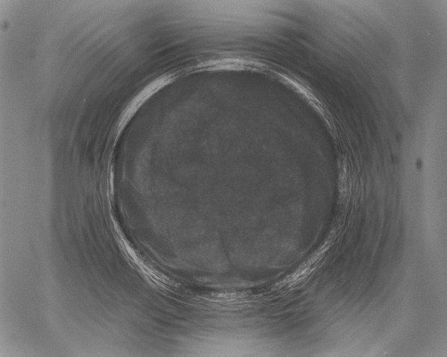 X0000060551418200511241214