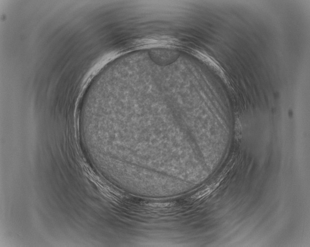 X0000060551419200511241214