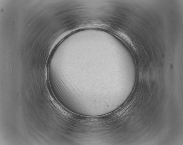 X0000060551420200511241214