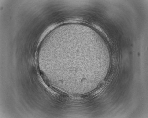 X0000060551421200511241214