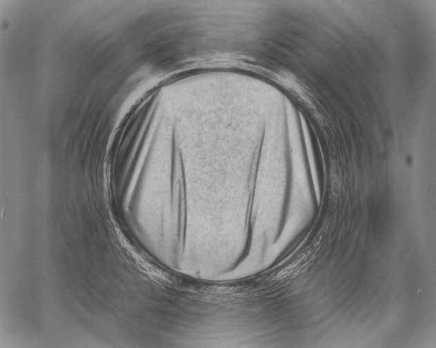 X0000060551424200511241214