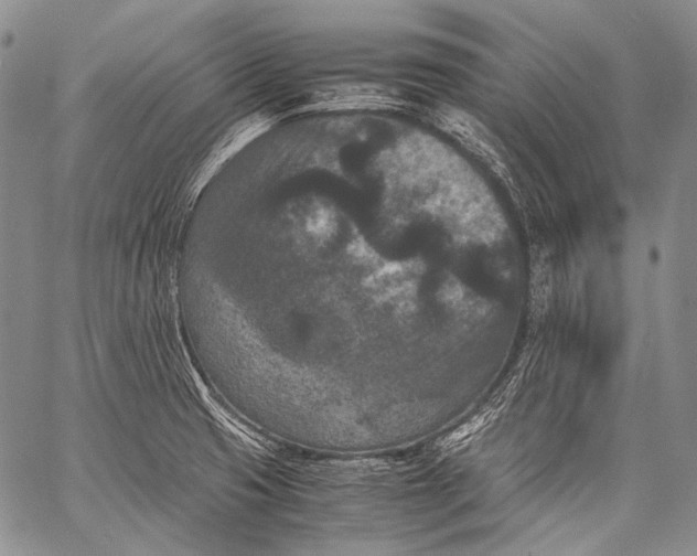 X0000060551425200511241214