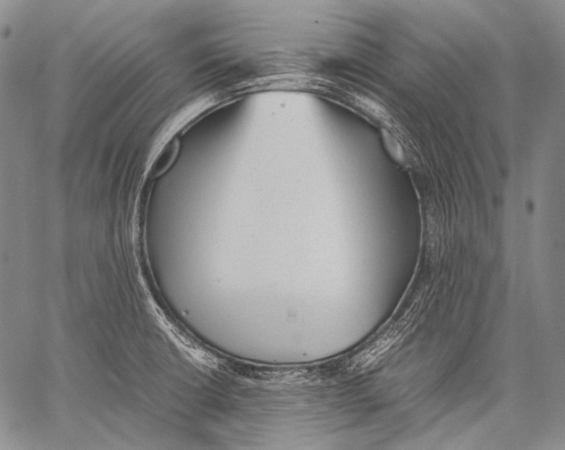 X0000060551426200511241214