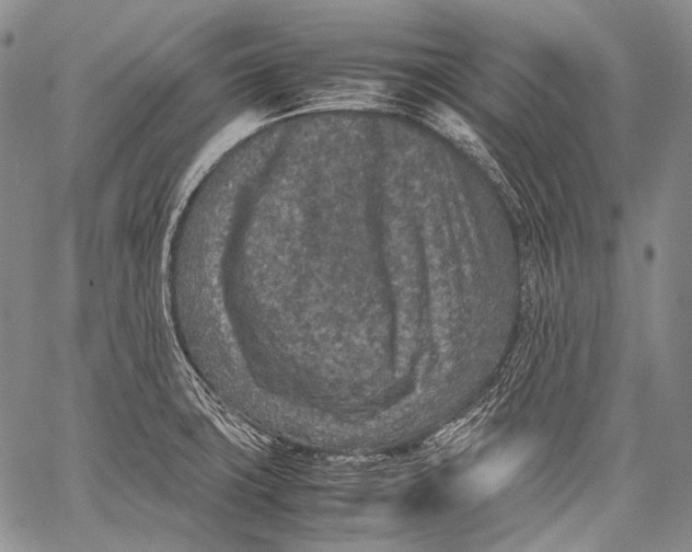 X0000060551427200511241214