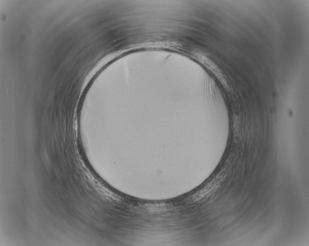 X0000060551428200511241214