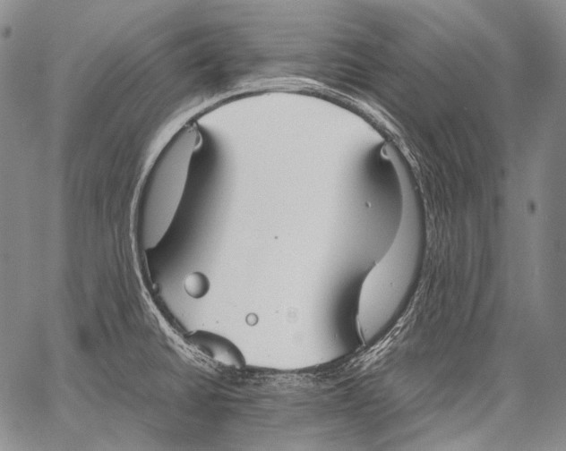 X0000060551430200511241214